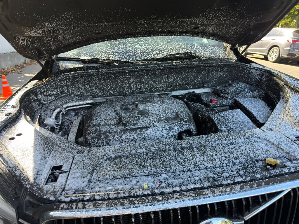 Engine Bay Cleaning