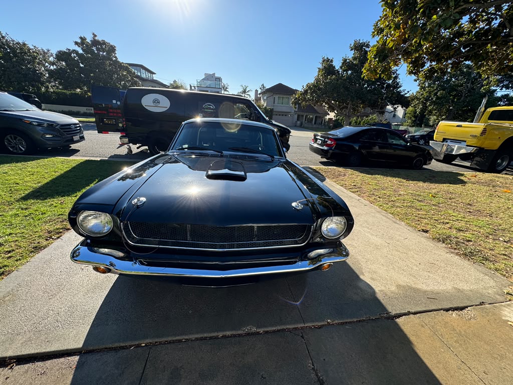 Classic Mustang after claybar and wax
